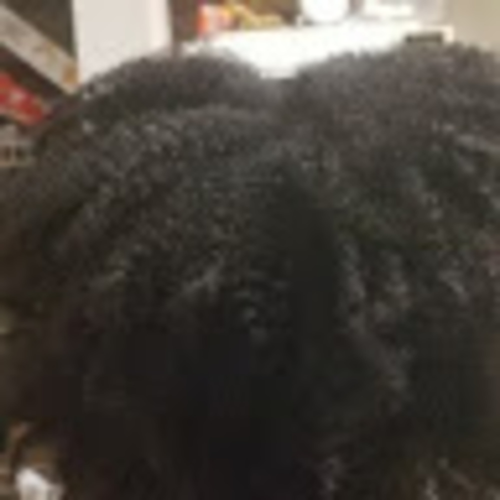 Meet your Posher, Fefe